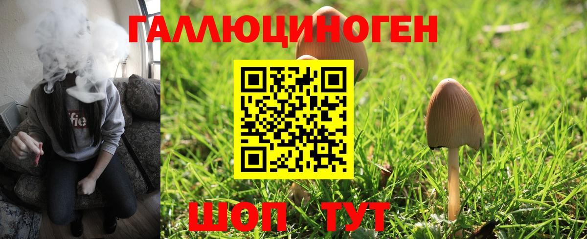 Волжский  Галлюциногенные грибы прущие грибы  Галлюциногенные грибы мицелий  Вход с VPN 